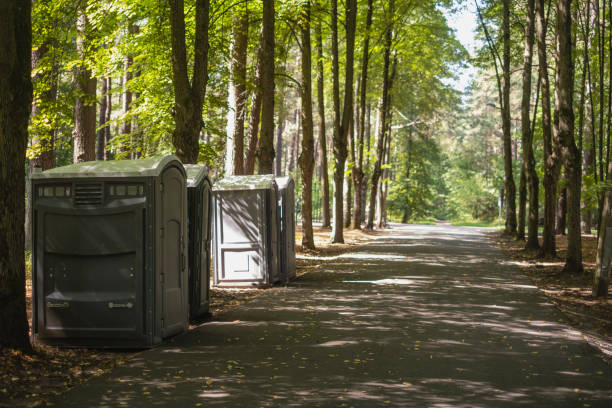 Affordable portable toilet rental in Townsend, DE